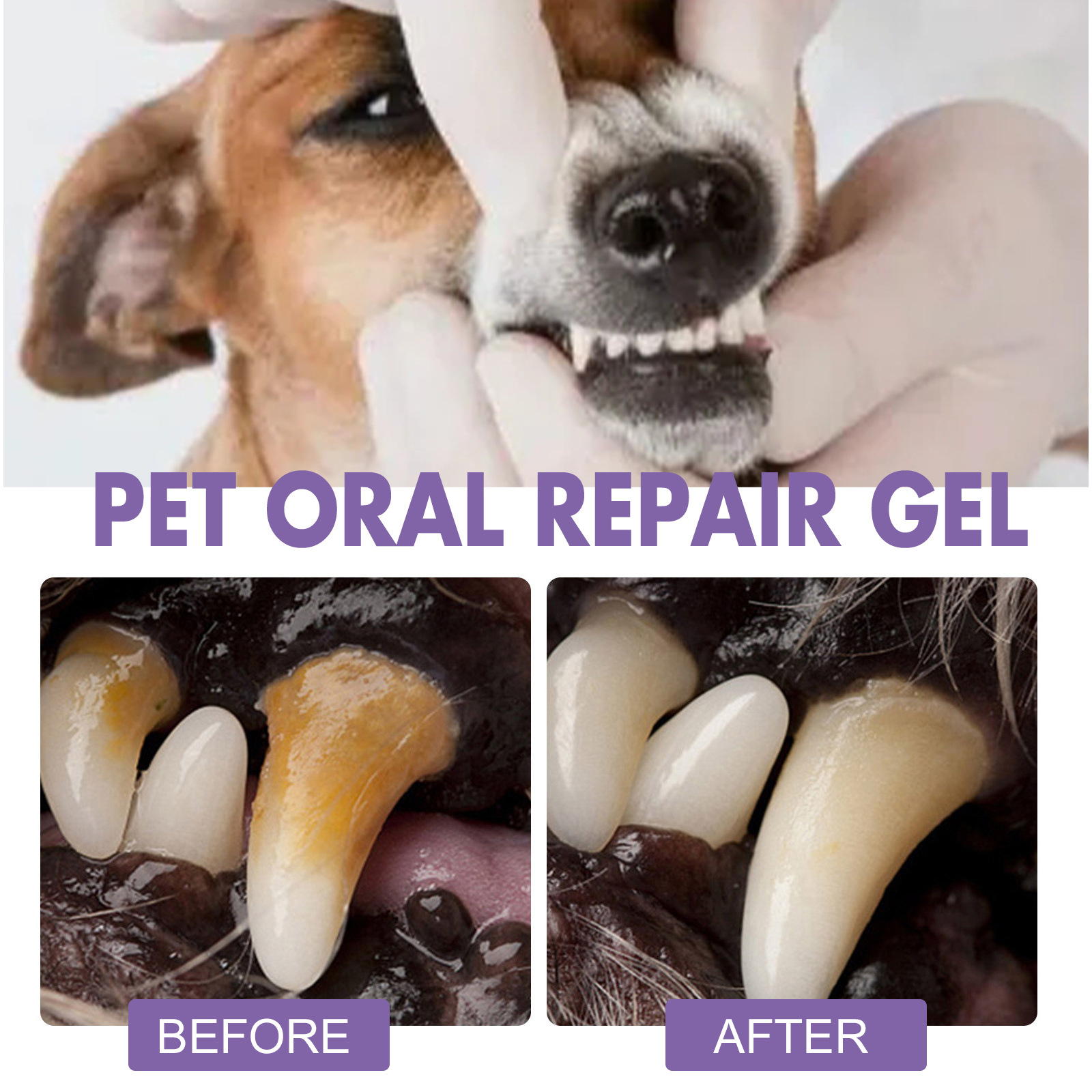 Gel perbaikan mulut hewan peli - Teeth Whitening Diy ulasan dan harga